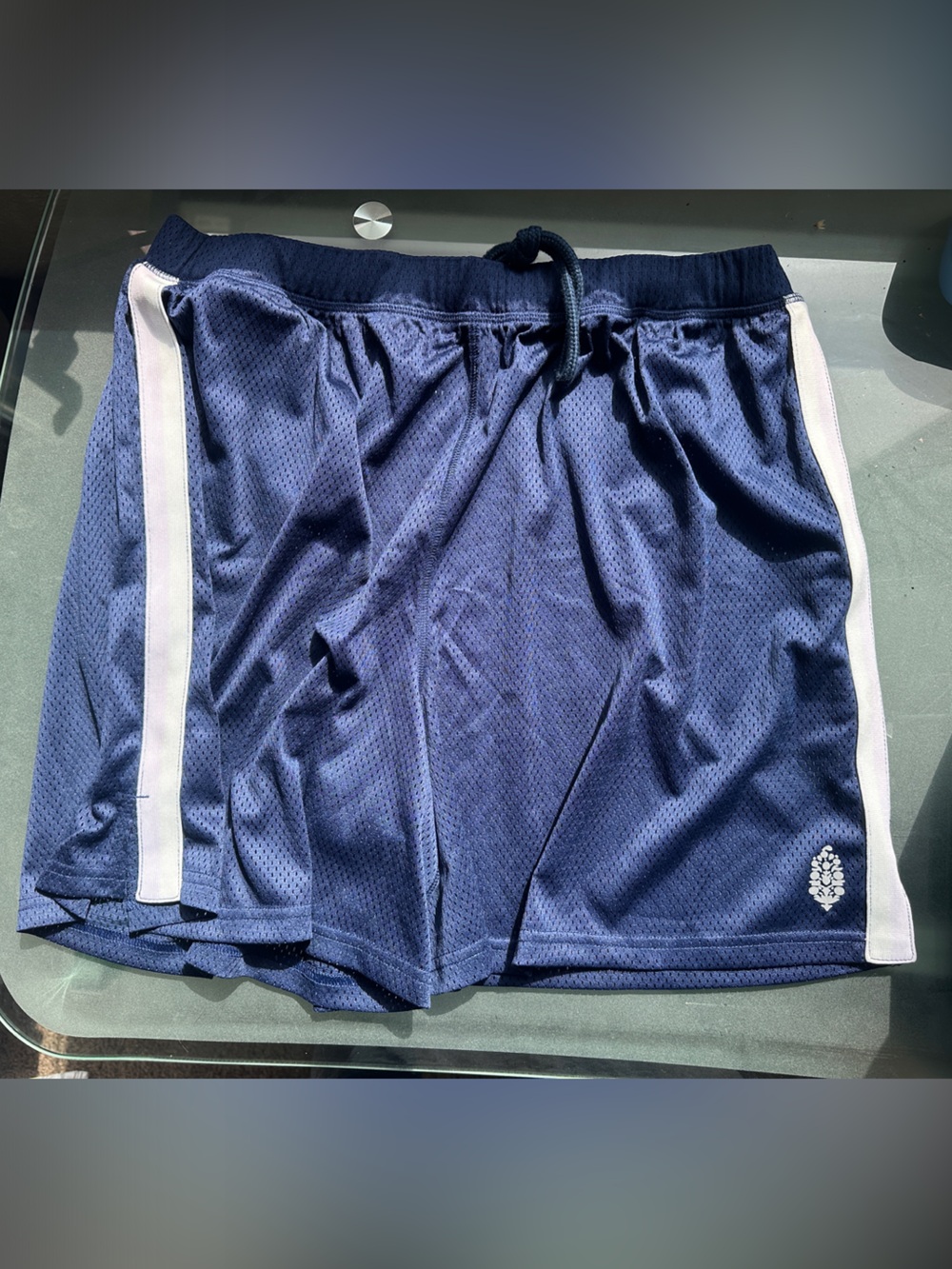Free People Navy Athletic Shorts with White Side Stripes